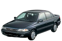 CARINA (T210) 96-01
